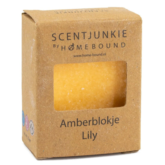 Amberblok in doosje Lily